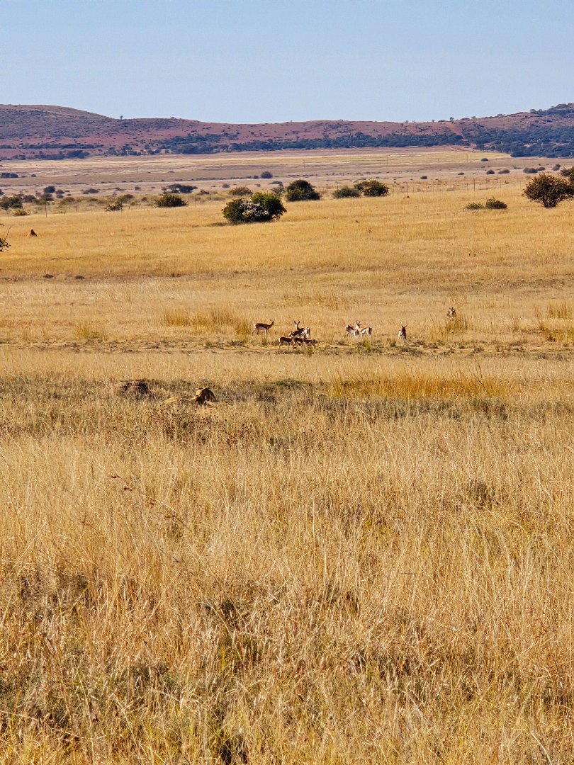 Commercial Property for Sale in Klerksdorp Rural North West